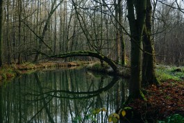 Wanderung Spreewald Lübbau