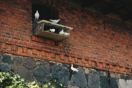 Milch & Moos · Vom Wandern und vom guten Essen · Brandenburg, Berlin