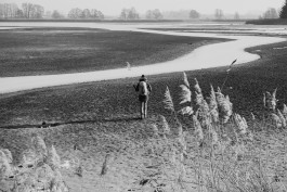 Milch & Moos · Vom Wandern und vom guten Essen · Brandenburg, Berlin