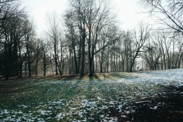 Milch & Moos · Vom Wandern und vom guten Essen · Brandenburg, Berlin