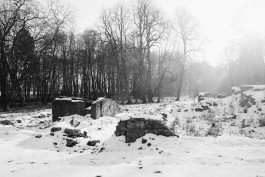 Milch & Moos · Vom Wandern und vom guten Essen · Brandenburg, Berlin