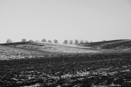 Milch & Moos · Vom Wandern und vom guten Essen · Brandenburg, Berlin