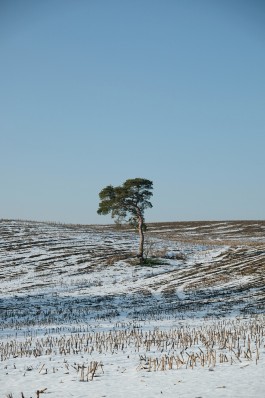 Milch & Moos · Vom Wandern und vom guten Essen · Brandenburg, Berlin