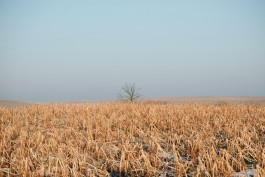 Milch & Moos · Vom Wandern und vom guten Essen · Brandenburg, Berlin