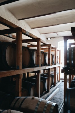 Milch & Moos · Vom Wandern und vom guten Essen · Brandenburg, Berlin