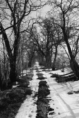 Milch & Moos · Vom Wandern und vom guten Essen · Brandenburg, Berlin
