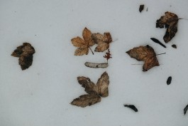 Milch & Moos · Vom Wandern und vom guten Essen · Brandenburg, Berlin