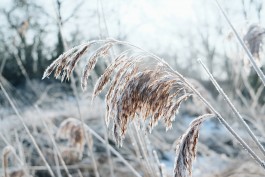 Milch & Moos · Vom Wandern und vom guten Essen · Brandenburg, Berlin