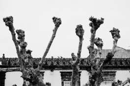 Milch & Moos · Vom Wandern und vom guten Essen · Brandenburg, Berlin