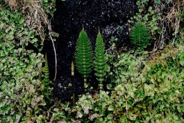 Milch & Moos · Vom Wandern und vom guten Essen · Brandenburg, Berlin