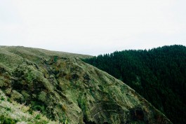 Milch & Moos · Vom Wandern und vom guten Essen · Brandenburg, Berlin
