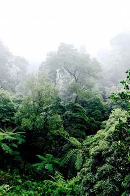 Milch & Moos · Vom Wandern und vom guten Essen · Brandenburg, Berlin