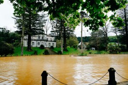 Milch & Moos · Vom Wandern und vom guten Essen · Brandenburg, Berlin