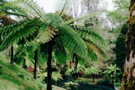 Milch & Moos · Vom Wandern und vom guten Essen · Brandenburg, Berlin