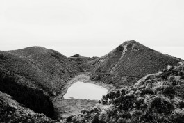 Milch & Moos · Vom Wandern und vom guten Essen · Brandenburg, Berlin