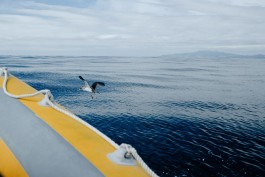 Milch & Moos · Vom Wandern und vom guten Essen · Brandenburg, Berlin