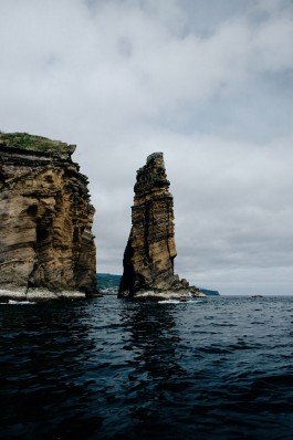 Milch & Moos · Vom Wandern und vom guten Essen · Brandenburg, Berlin