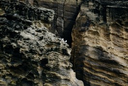 Milch & Moos · Vom Wandern und vom guten Essen · Brandenburg, Berlin