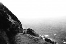 Milch & Moos · Vom Wandern und vom guten Essen · Brandenburg, Berlin