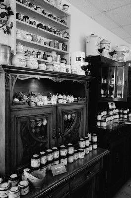 Milch & Moos · Vom Wandern und vom guten Essen · Brandenburg, Berlin