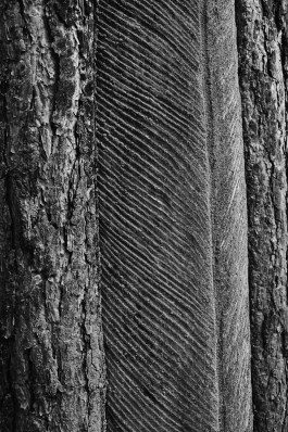 Milch & Moos · Vom Wandern und vom guten Essen · Brandenburg, Berlin