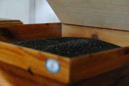 Milch & Moos · Vom Wandern und vom guten Essen · Brandenburg, Berlin