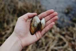 Milch & Moos · Vom Wandern und vom guten Essen · Brandenburg, Berlin
