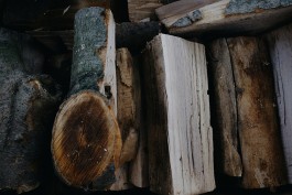 Milch & Moos · Vom Wandern und vom guten Essen · Brandenburg, Berlin