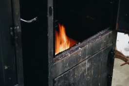 Milch & Moos · Vom Wandern und vom guten Essen · Brandenburg, Berlin