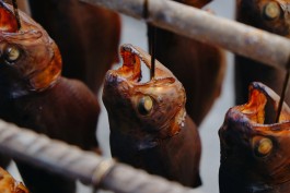 Milch & Moos · Vom Wandern und vom guten Essen · Brandenburg, Berlin