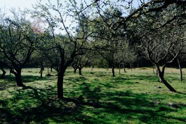 Milch & Moos · Vom Wandern und vom guten Essen · Brandenburg, Berlin