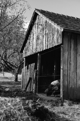 Milch & Moos · Vom Wandern und vom guten Essen · Brandenburg, Berlin