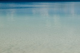 Milch & Moos · Vom Wandern und vom guten Essen · Brandenburg, Berlin