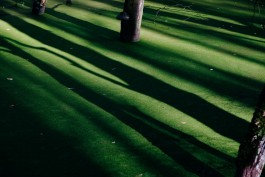 Milch & Moos · Vom Wandern und vom guten Essen · Brandenburg, Berlin