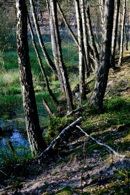 Milch & Moos · Vom Wandern und vom guten Essen · Brandenburg, Berlin