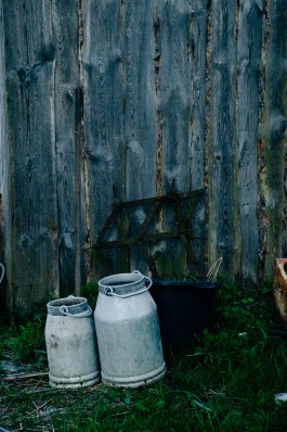 Milch & Moos · Vom Wandern und vom guten Essen · Brandenburg, Berlin