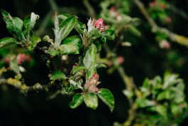 Milch & Moos · Vom Wandern und vom guten Essen · Brandenburg, Berlin