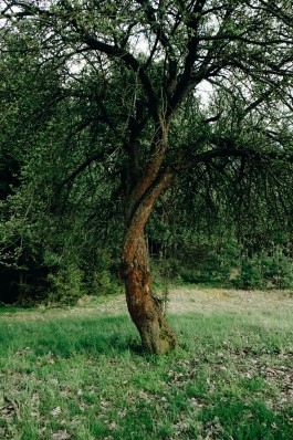 Milch & Moos · Vom Wandern und vom guten Essen · Brandenburg, Berlin