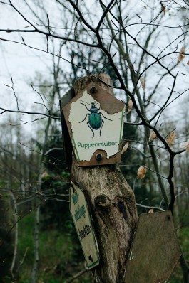 Milch & Moos · Vom Wandern und vom guten Essen · Brandenburg, Berlin