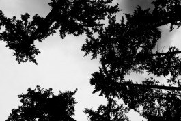 Milch & Moos · Vom Wandern und vom guten Essen · Brandenburg, Berlin