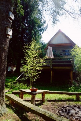 Milch & Moos · Vom Wandern und vom guten Essen · Brandenburg, Berlin