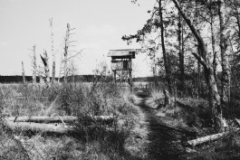 Milch & Moos · Vom Wandern und vom guten Essen · Brandenburg, Berlin