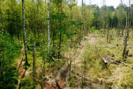 Milch & Moos · Vom Wandern und vom guten Essen · Brandenburg, Berlin