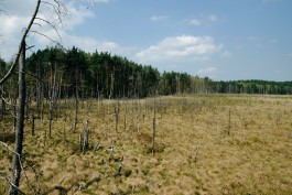 Milch & Moos · Vom Wandern und vom guten Essen · Brandenburg, Berlin