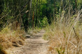 Milch & Moos · Vom Wandern und vom guten Essen · Brandenburg, Berlin