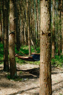 Milch & Moos · Vom Wandern und vom guten Essen · Brandenburg, Berlin