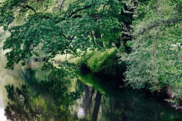 Milch & Moos · Vom Wandern und vom guten Essen · Brandenburg, Berlin