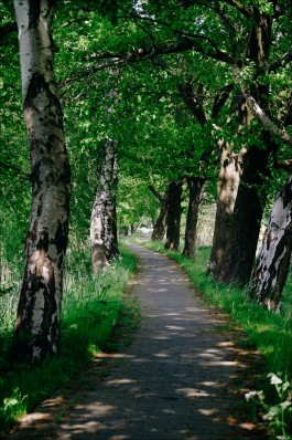 Milch & Moos · Vom Wandern und vom guten Essen · Brandenburg, Berlin