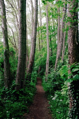 Milch & Moos · Vom Wandern und vom guten Essen · Brandenburg, Berlin