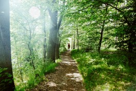 Milch & Moos · Vom Wandern und vom guten Essen · Brandenburg, Berlin